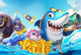 星空体彩app2024最新版