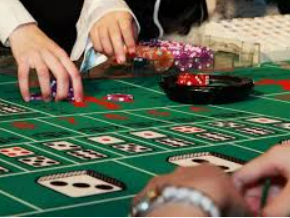 星空体彩app电脑免费版